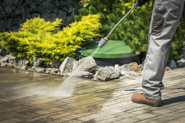 Best Solar Panel Cleaning  in Brewerton, NY